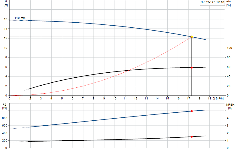 Curva di prestazione NK 32-125.1/110