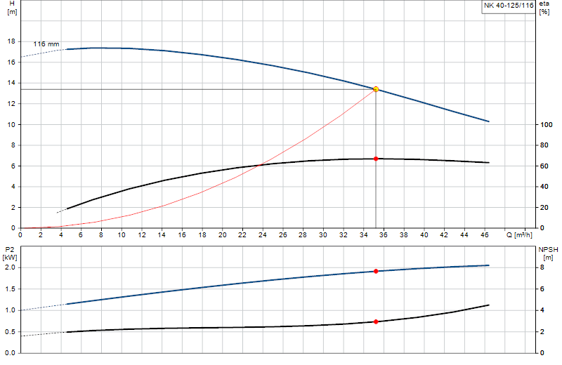 Curva di prestazione NK 40-125/116