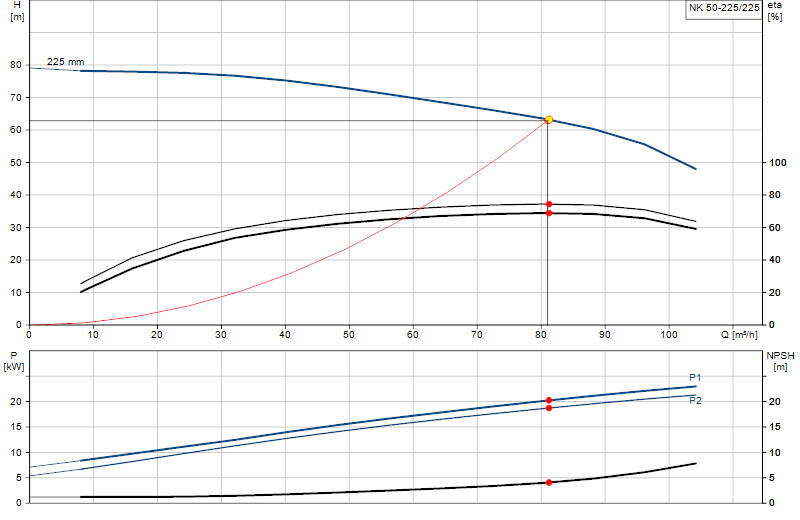 Curva di prestazione NK 50-225/225