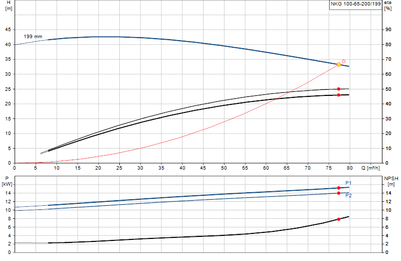 Curva di prestazione NKG 100-65-200/199