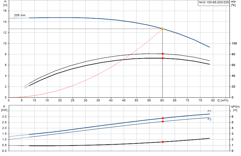 Performance curve NKG 100-65-200/205