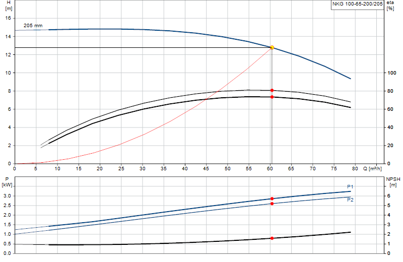 Courbe de performance NKG 100-65-200/205