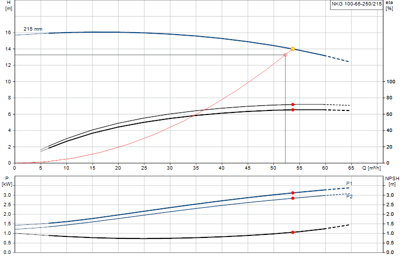 Curva di prestazione NKG 100-65-250/215