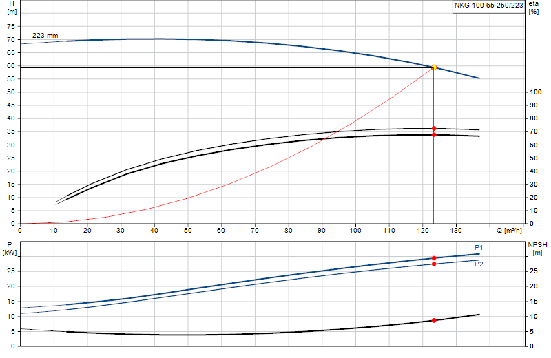 Curva di prestazione NKG 100-65-250/223