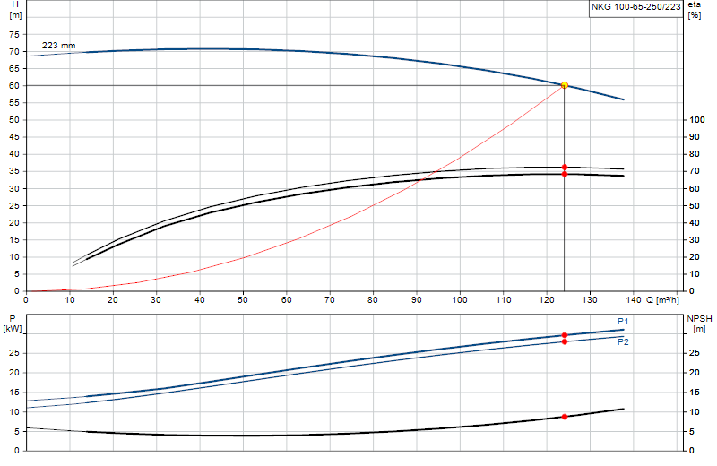 Curva di prestazione NKG 100-65-250/223