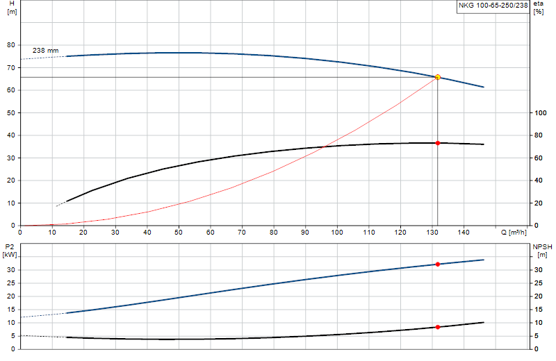 Curva di prestazione NKG 100-65-250/238