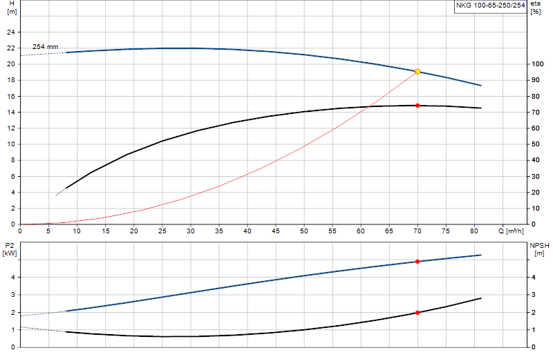 Curva di prestazione NKG 100-65-250/254