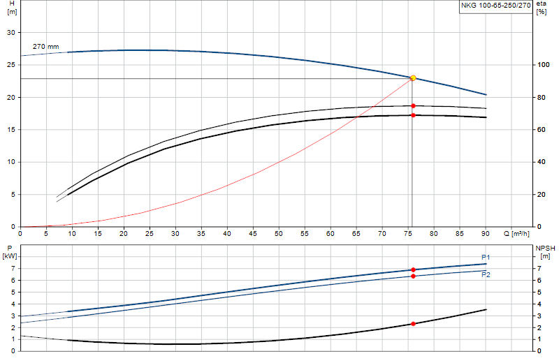 Curva di prestazione NKG 100-65-250/270