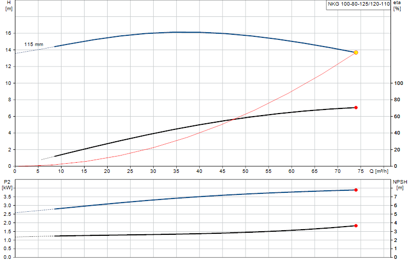 Curva de rendimiento NKG 100-80-125/120-110