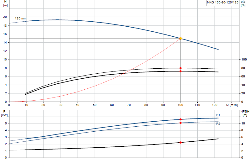 Curva di prestazione NKG 100-80-125/125