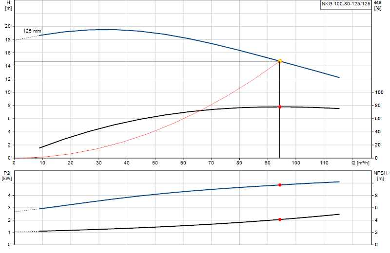Curva di prestazione NKG 100-80-125/125