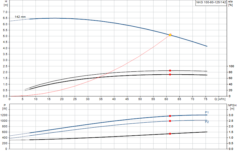 Performance curve NKG 100-80-125/142