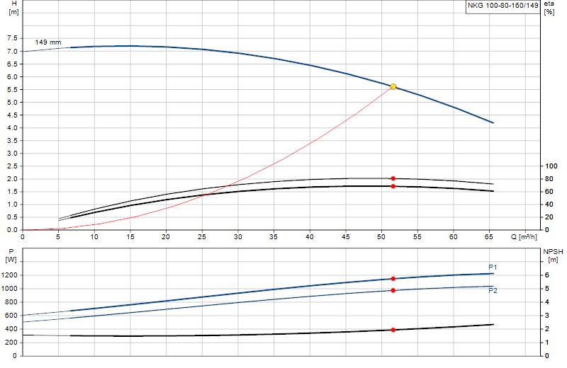 Performance curve NKG 100-80-160/149