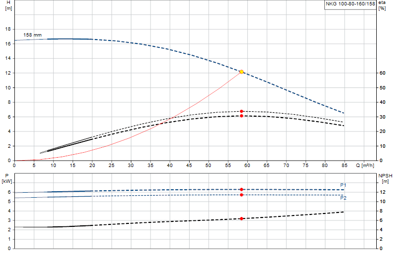 Curva di prestazione NKG 100-80-160/158