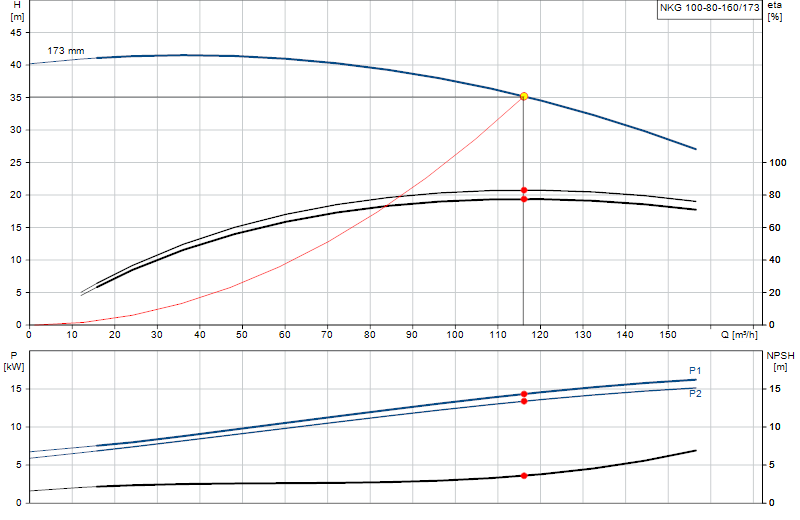 Courbe de performance NKG 100-80-160/173