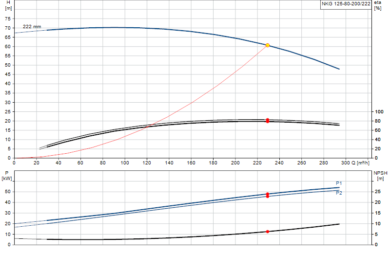 Curva di prestazione NKG 125-80-200/222
