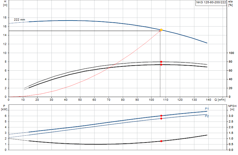 Curva di prestazione NKG 125-80-200/222