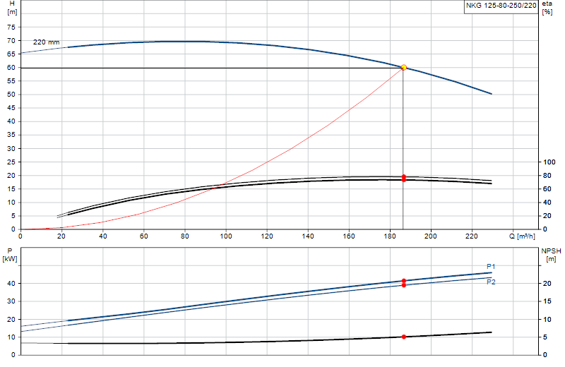 Curva di prestazione NKG 125-80-250/220