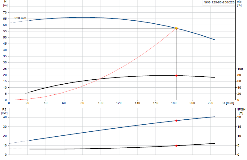 Curva di prestazione NKG 125-80-250/220