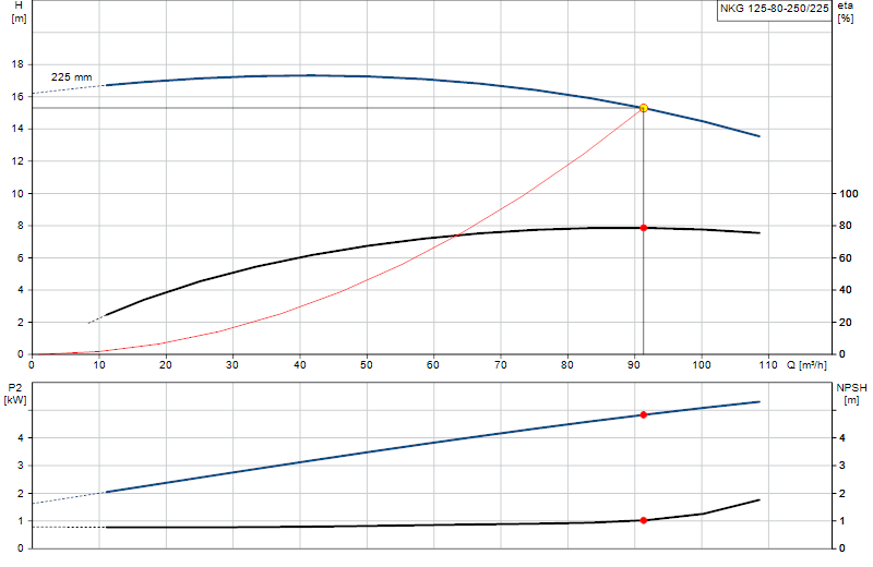 Curva di prestazione NKG 125-80-250/225