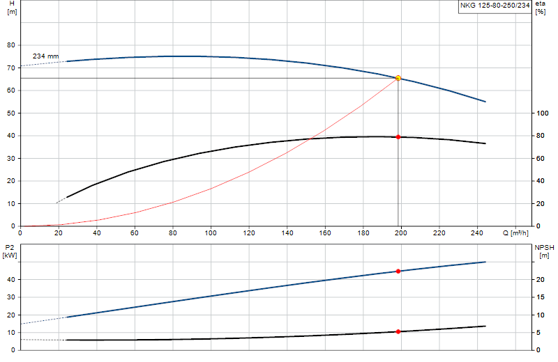 Curva di prestazione NKG 125-80-250/234