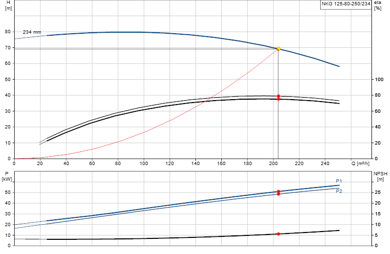 Curva di prestazione NKG 125-80-250/234