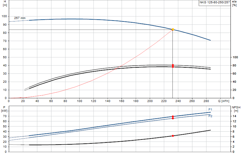Curva di prestazione NKG 125-80-250/257