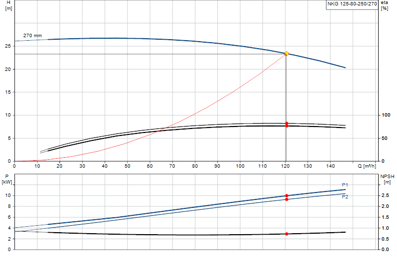 Curva de rendimiento NKG 125-80-250/270