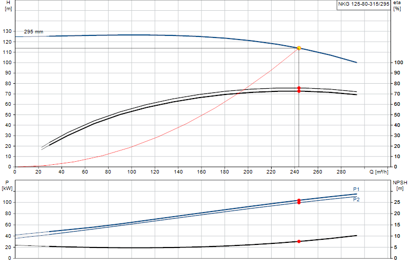 Curva di prestazione NKG 125-80-315/295