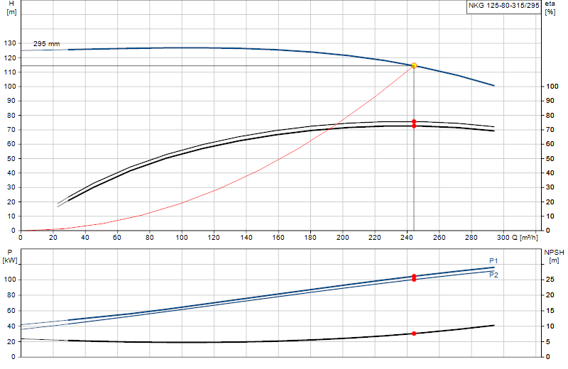 Curva di prestazione NKG 125-80-315/295