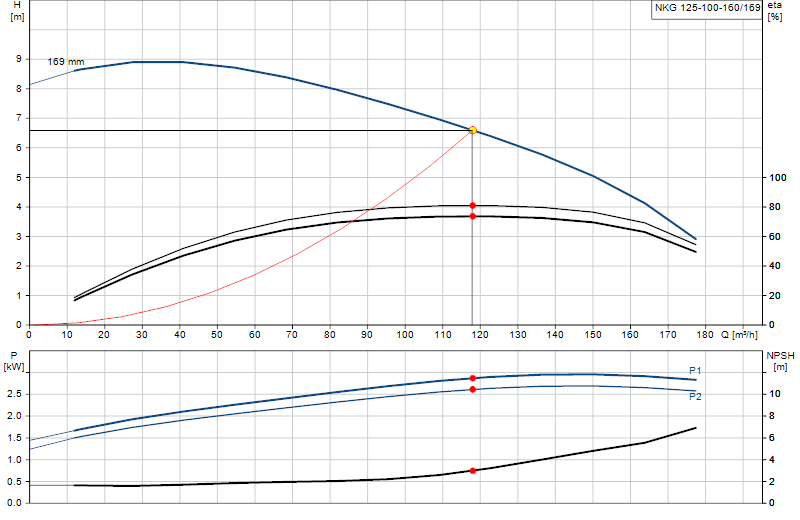 Courbe de performance NKG 125-100-160/169