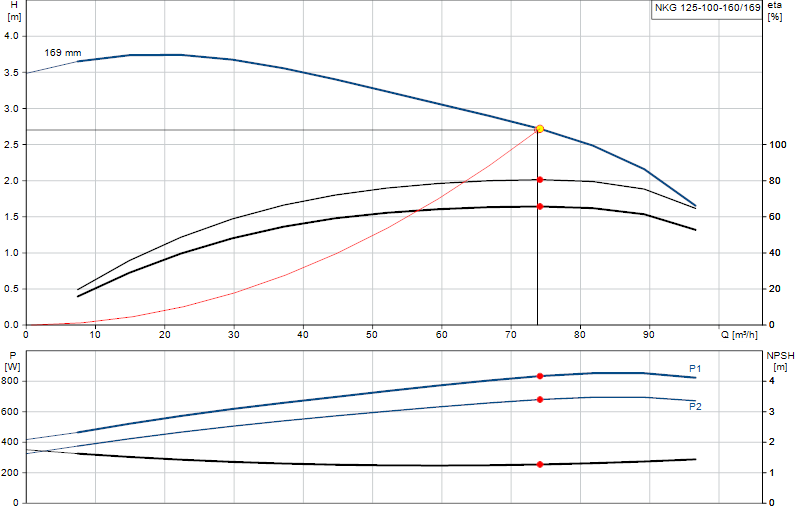 Curva di prestazione NKG 125-100-160/169