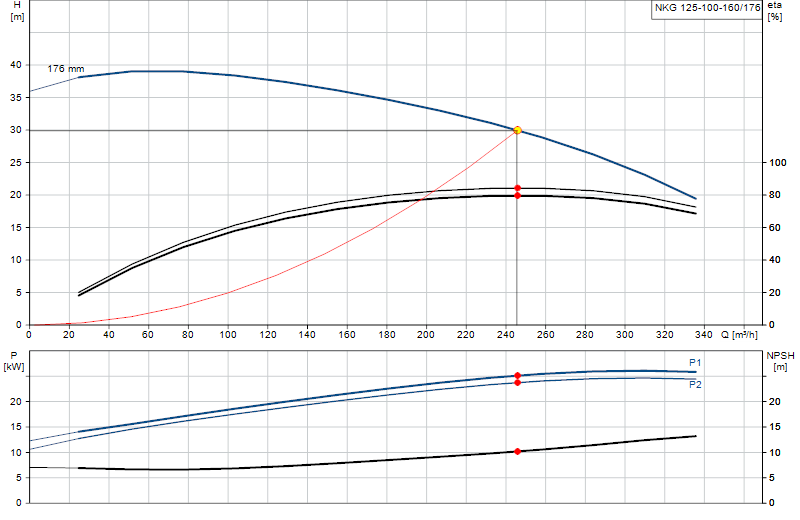 Curva di prestazione NKG 125-100-160/176