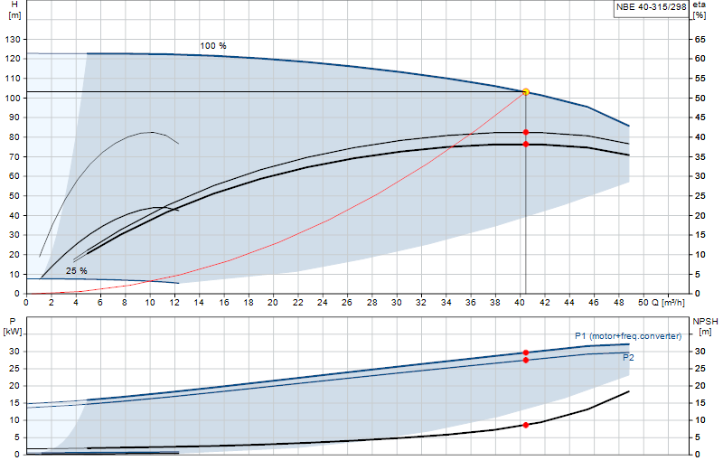 Curva di prestazione NBE 40-315/298