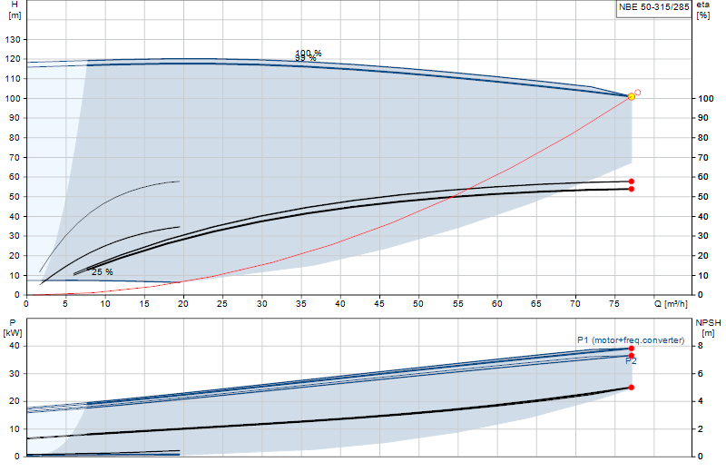Curva di prestazione NBE 50-315/285