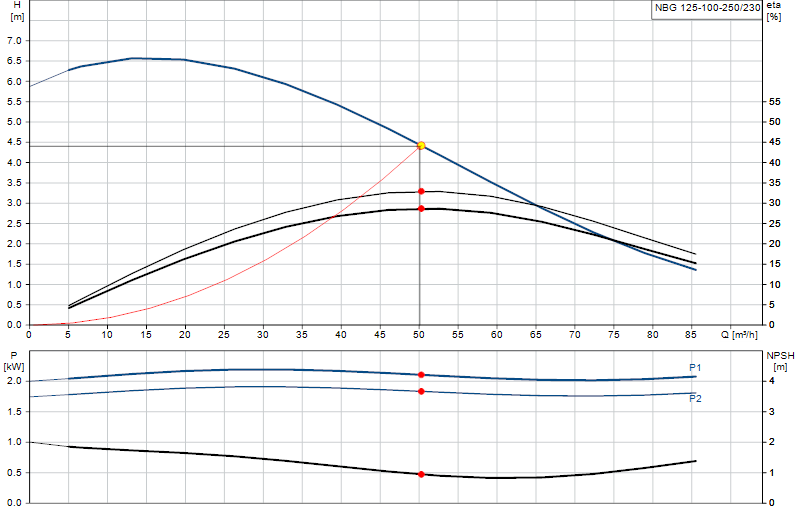 Curva di prestazione NBG 125-100-250/230