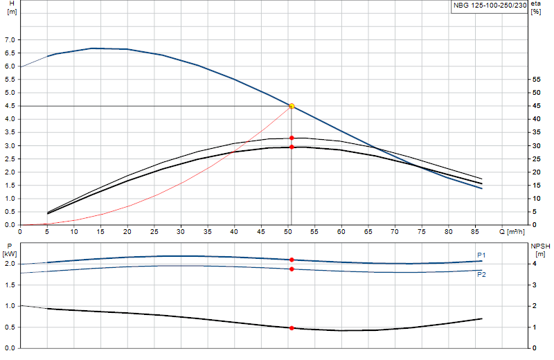 Curva di prestazione NBG 125-100-250/230