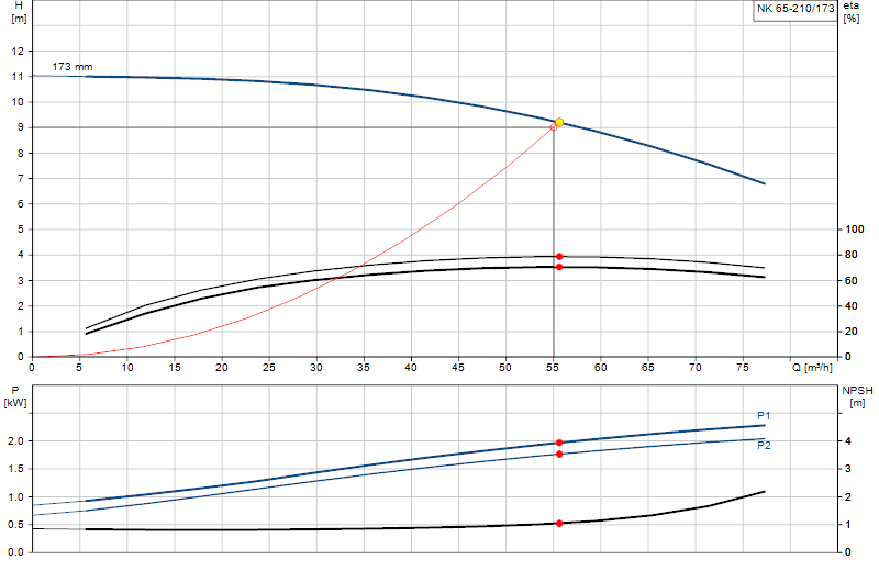Curva di prestazione NK 65-210/173
