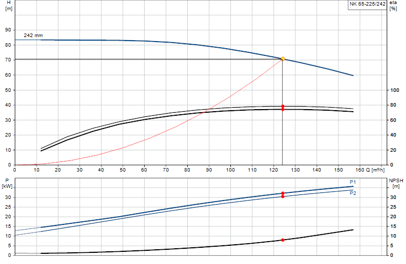 Curva di prestazione NK 65-225/242