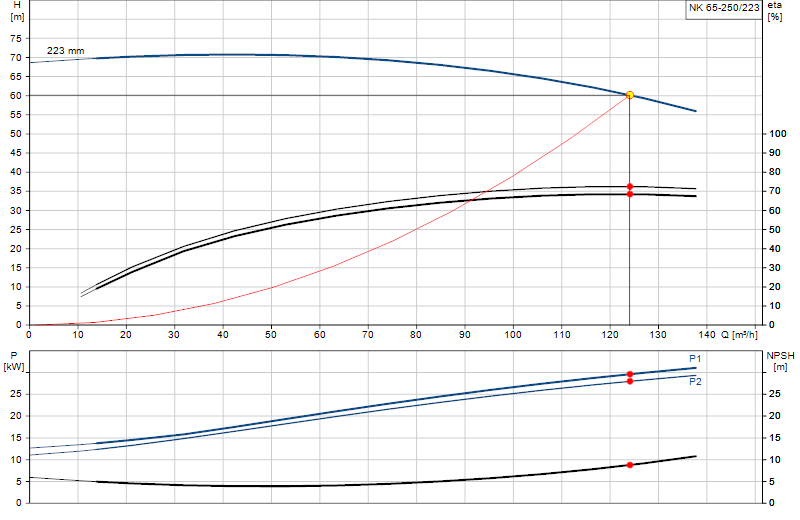 Curva di prestazione NK 65-250/223