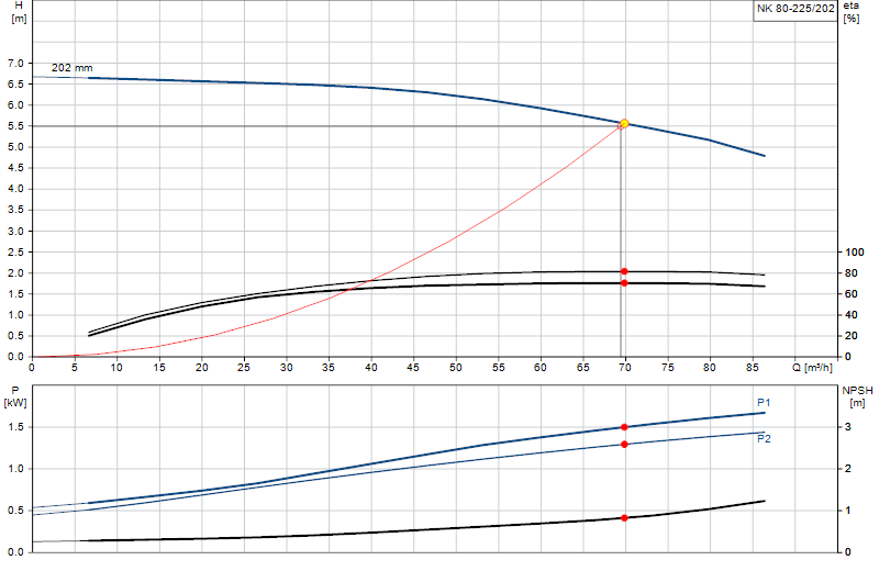 Curva di prestazione NK 80-225/202