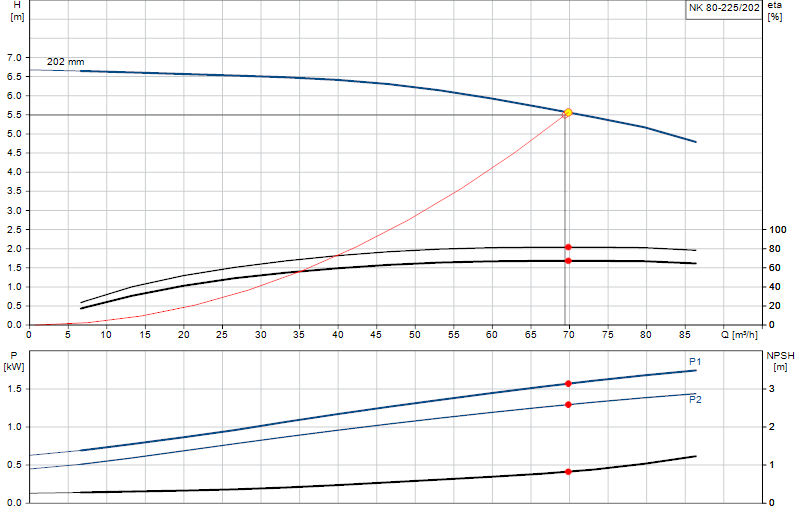 Curva di prestazione NK 80-225/202