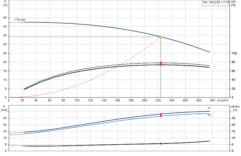Curva de rendimiento NK 100-225.1/176