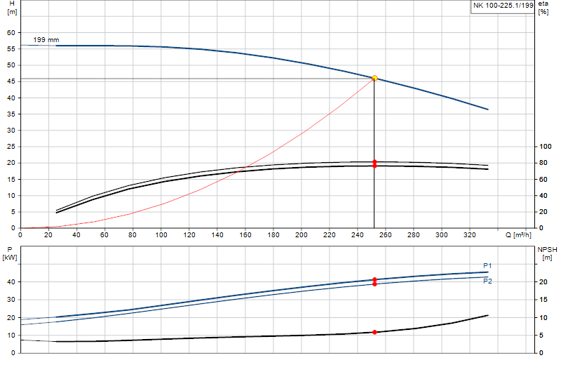 Curva di prestazione NK 100-225.1/199