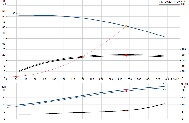 Curva de rendimiento NK 100-225.1/199