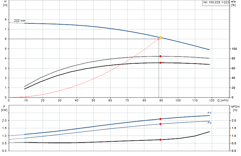 Curva di prestazione NK 100-225.1/222