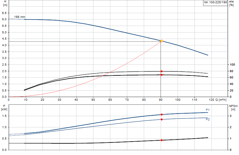 Curva di prestazione NK 100-225/198