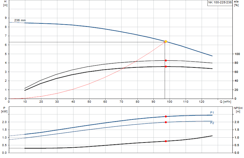 Curva di prestazione NK 100-225/236