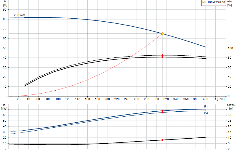 Curva di prestazione NK 100-225/238
