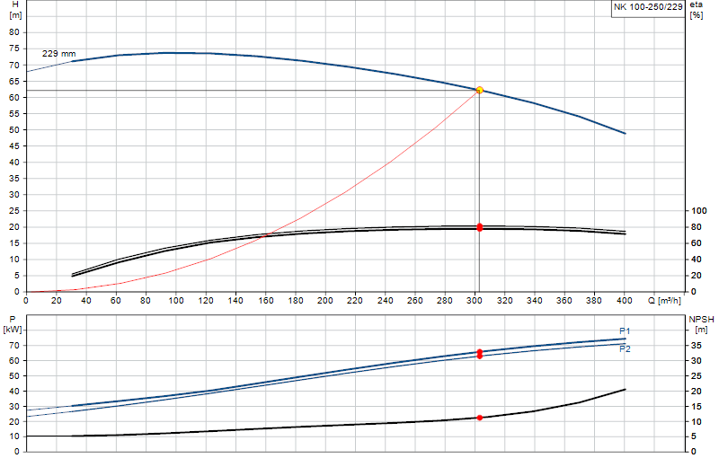 Performance curve NK 100-250/229